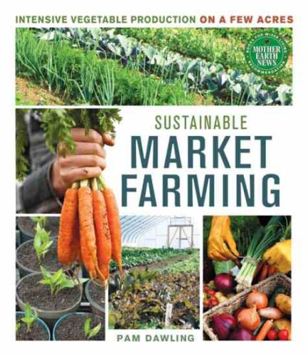 All About Growing Cover Crops